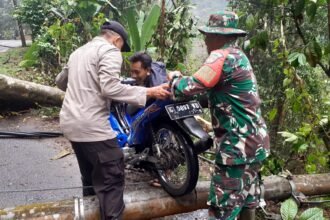 IMG 20231017 WA0168