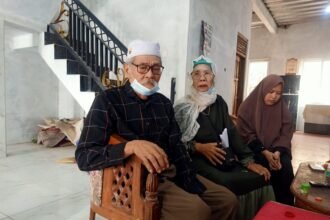 IMG 20231127 WA0245