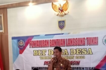 IMG 20231212 WA0191