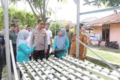IMG 20250108 WA0007
