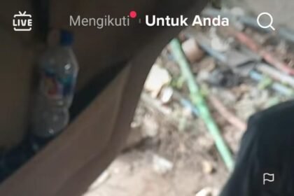 IMG 20250128 WA0035
