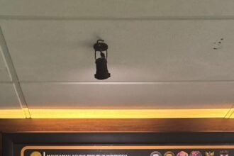 IMG 20250203 WA0148