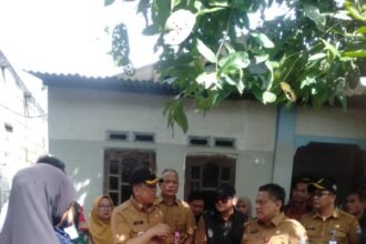 IMG 20250211 WA0084