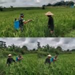 IMG 20250221 WA0109