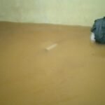 IMG 20250227 WA0324