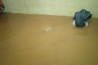 IMG 20250227 WA0324