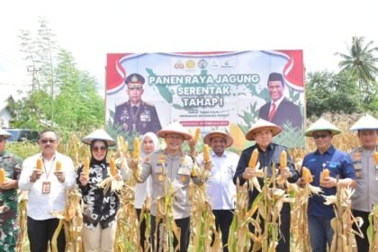 IMG 20250227 131735