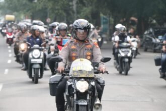 IMG 20250307 WA0151
