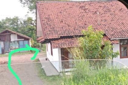 IMG 20250329 WA0034