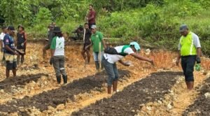 Kasi Teritorial Korem 182/JO Gandeng Dinas Pertanian Fakfak Wujudkan Urban Farming Percontohan 2 IMG 20250314 150444