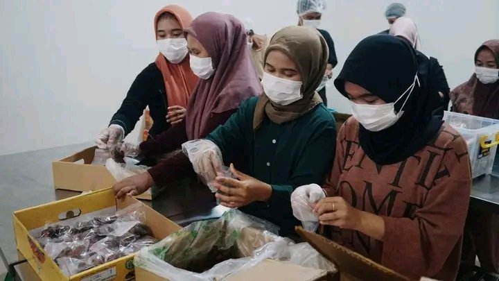 Kota Pekalongan Tambah Tiga Dapur Penyedia Program Makan Bergizi Gratis 1 1745247653548