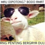 IMG 20250607 WA0187