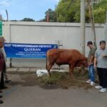 IMG 20250608 WA0238