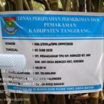 IMG 20250625 WA0028