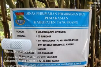 IMG 20250625 WA0028