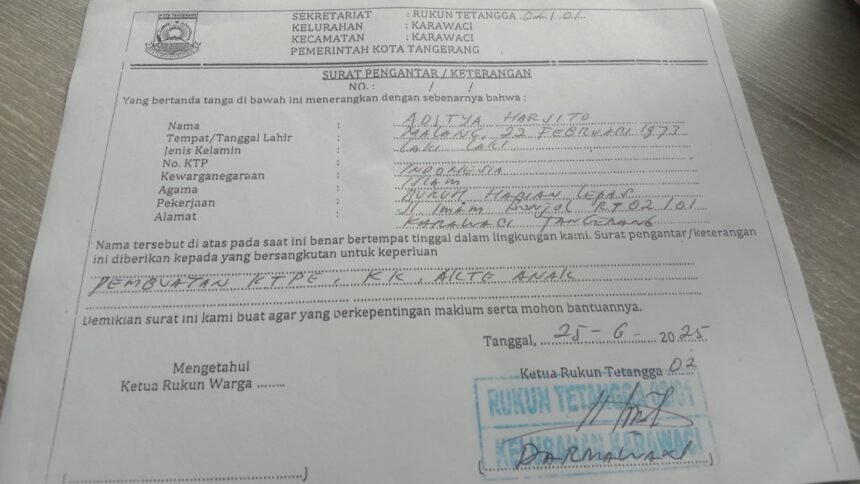 IMG 20250625 WA0133