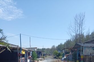 IMG 20250720 WA0150