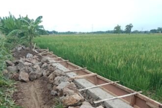 IMG 20251030 WA00332