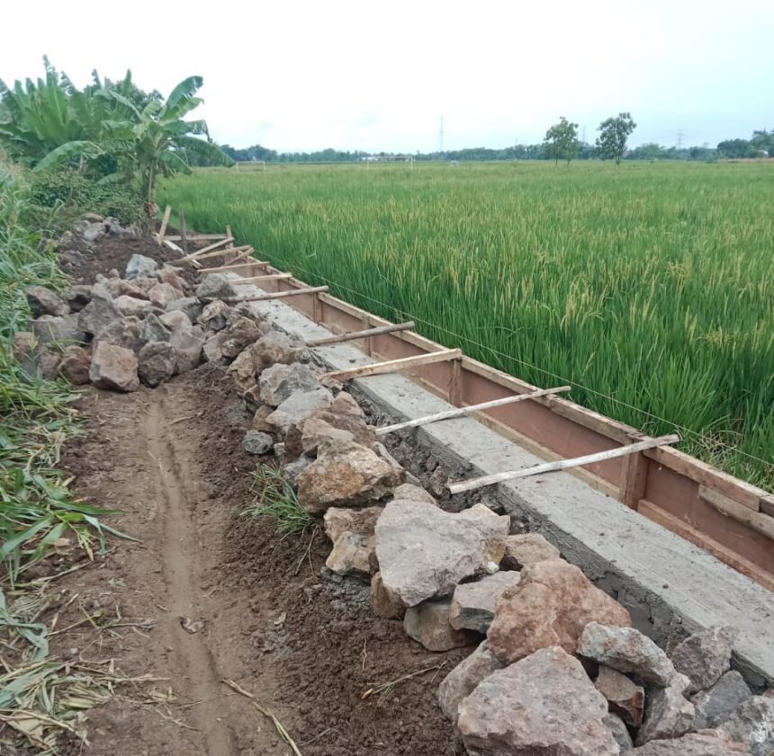 IMG 20251030 WA00332