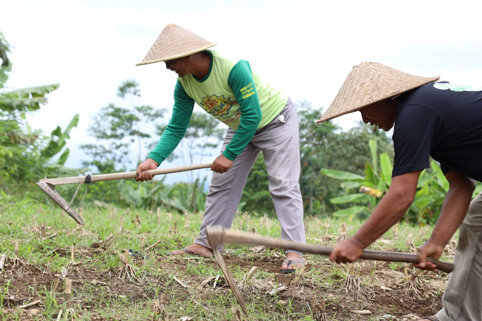 Konflik Belasan Tahun Berakhir, Sertipikat Redistribusi Tanah Buka Jalan Pemulihan Ekonomi Desa Soso 1 IMG 20251204 WA0032