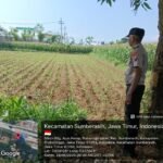 IMG 20260529 WA0145