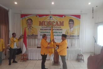 IMG 20260711 WA0334