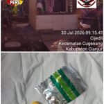 IMG 20260730 WA0101