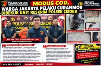 IMG 20260911 WA0050