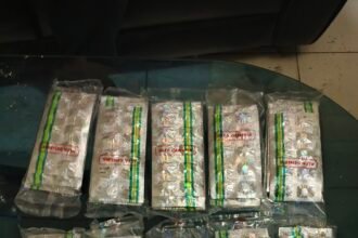 IMG 20260921 WA0007